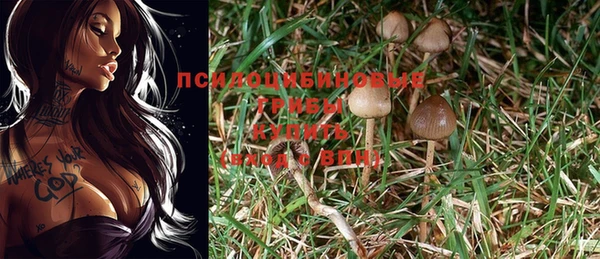 крисы Абинск