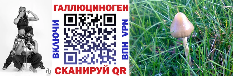 сколько стоит  даркнет телеграм  Псилоцибиновые грибы MAGIC MUSHROOMS  Калач 