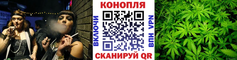 как найти наркотики  Калач  Каннабис планчик 